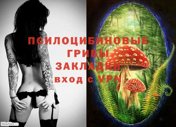 ECSTASY Абдулино
