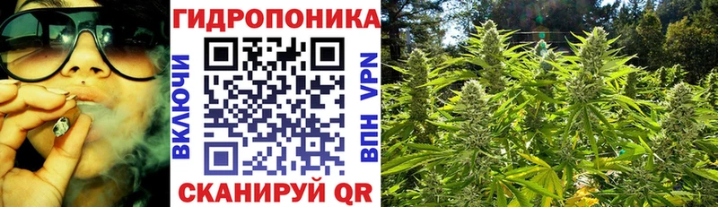 дарк нет телеграм  Новочеркасск  Конопля план 